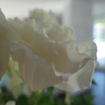 Gaestehaus Jorde - Koenig Ludwig Lejlighed Füssen