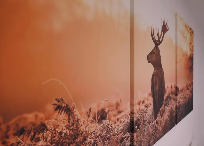 Gaestehaus Jorde - Koenig Ludwig Lejlighed