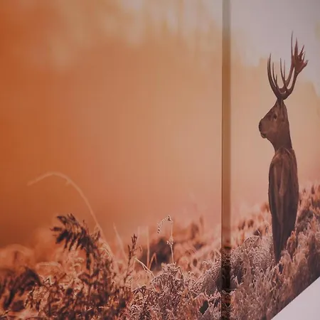 Gaestehaus Jorde - Koenig Ludwig Appartamento